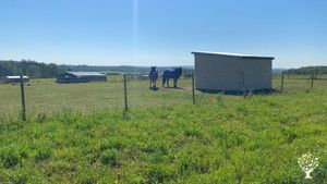 Pasture