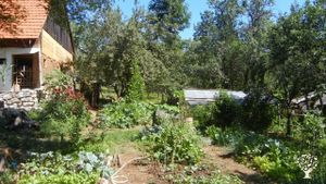 Living and Learning Center for Regenerative and Nonviolent living