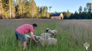 Farm-based cidery on a mixed-use farm on beautiful Vancouver Island