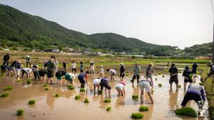 <JN132>단순 소박한 삶/A Simple and Humble Life