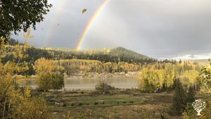 Organic garden and wildlife sanctuary