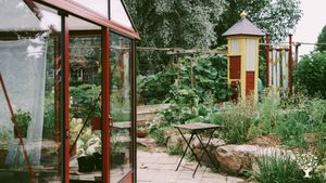 A small permaculture farm with vegetables, flowers, agroforestry, hens and occasional public events