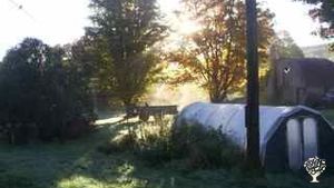 Maison familiale et jardin - rural, Propriété familiale, Petite exploitation, Jardin maraîcher
