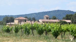 Exploitation agricole  de type monastique : viticulture, oléiculture et maraichage