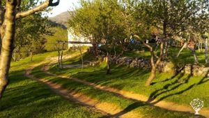 Family home and garden - rural, Homestead, Cattle Ranch, Fruit tree nursery, Orchard, Farm