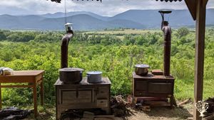 Alternative co-operative community