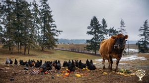 Ranch/ Livestock Farm