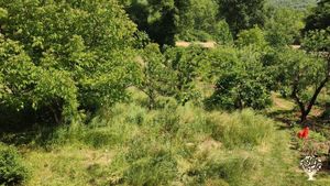 An Oasis in the Heart of Istanbul: Embracing Sustainability and Nature