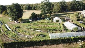 Ferme familiale, production BIO de légumes et de plants à repiquer diversifiés.