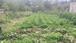 NGO Family farm association practicing biodynamic agriculture