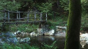 Mandali's Lighthouse,  restoring and reconnecting ourselves together.