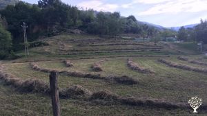 Casa contadina in zona collinare a metà via tra città e montagna