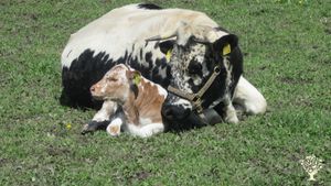 Tiere fordern und fördern Kinder