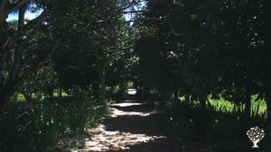 Espaço de Agroecologia, Cultura e Arte e Turismo
