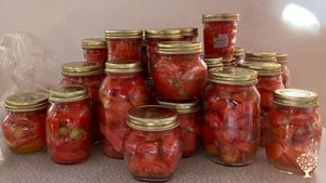 Azienda agricola biologica a Marsala