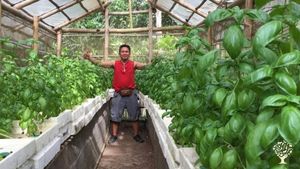 Practicing organic and regenerative farming, mushroom culture and hydroponics