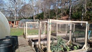 Small plant nursery on West Coast of Scotland