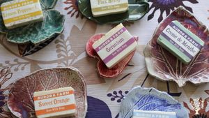 Solar-powered animal-loving community farm