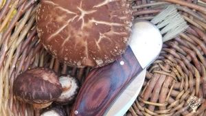 Shiitakes!