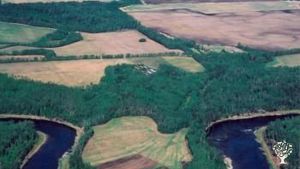 Ariel view of the farm