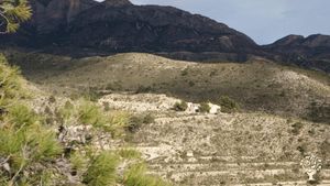 Agritourism Destination, Eco Retreat, Flower Garden Farm, Fruit tree nursery, Orchard, Family farm