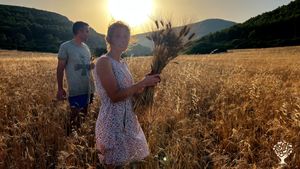 Mio cugino Giuseppe assieme a sua moglie Eva raccolgono qualche spiga prima della trebbiatura