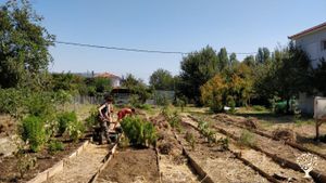 Educational Centre, Community farm and Olive grove on Lesvos island