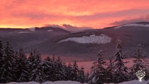 Cultivating human consciousness