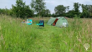 Family farm with Horses, Food Forest and Permaculture garden