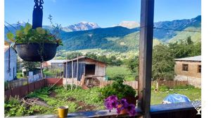 Family farm, Community farm