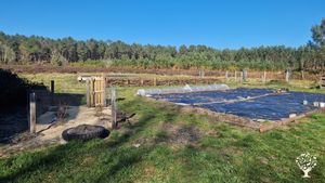 Écolieu en construction en pleine forêt landaise,permaculture