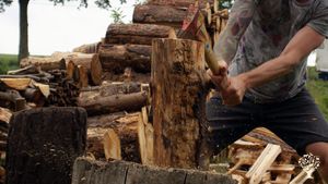 Dreiseitenhof und essbarer Paradiesgarten mit 3 Katzen, 3 Schafen und viiiel Gemüse