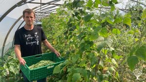 Ferme maraichère certifiée bio