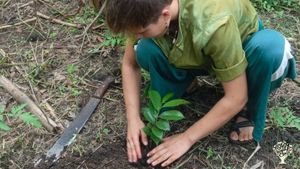 Regenerative Agriculture, Indigenous Knowledge, Cultural Exchange & Community Resilience Center