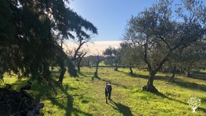 Azienda agricola gestita con permacultura
