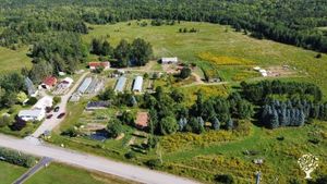 Our farm property (we have more land not on the photo)