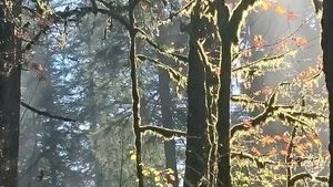 Towards a post-capitalist regenerative community