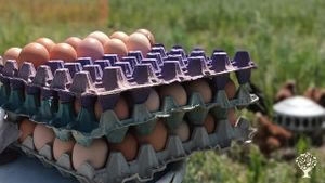 Chacra agroecologica. Tambo, elaboracion de quesos. Gallinas ponedoras y vacas de cria.