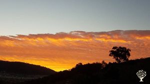 Beautiful property in San Diego North County - Musicians Welcome!