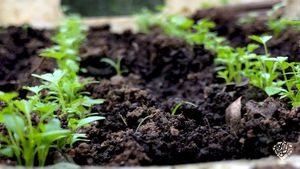 Somos organización sin ánimo de lucro fundada en el año 2000. Su Centro Educativo Permacultural Agro