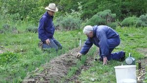 Communauté de moines bénédictins