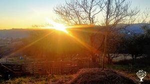 Fattoria in via di autosufficienza, all'interno del Parco di Frasassi e Gola della Rossa