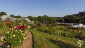Organic land based project in the Teign Valley.