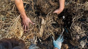 Proyecto de Agroecologia