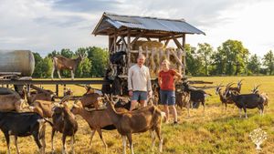 Daniel, Cecilia und die Ziegen
Daniel, Cecilia and the Goats