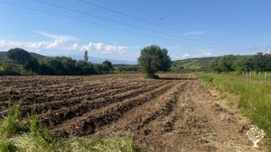 Tıbbi aromatik bitkiler, serbest tavuk ve ördekler, tek yıllık sebze grupları ve yeşil enerji