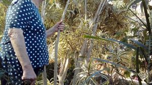 Family home and garden - rural, Educational Centre, Agritourism Destination, Hobby Farm