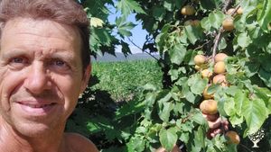 Azienda agricola biologica vitale