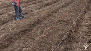 70 acre  farm that is looking for hard working, like minded, self motivated helpers