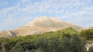 Honouring mother Earth, help regenerating the land and co-create beautiful gardens of abundance!